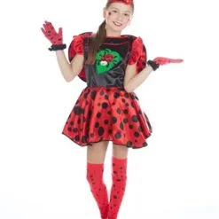 Super Lieveheersbeestje